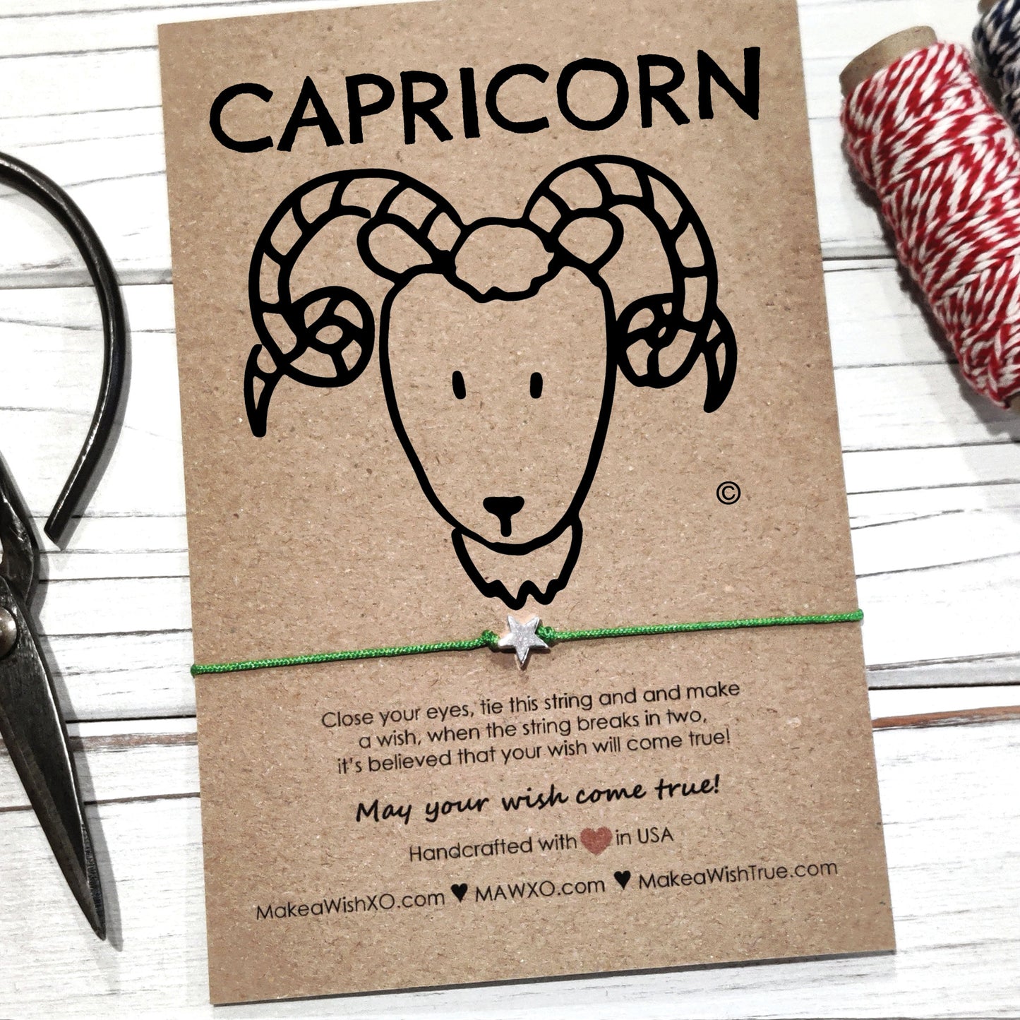 Capricorn Horoscope Friendship Bracelet ‖ Zodiac Birthday Gift