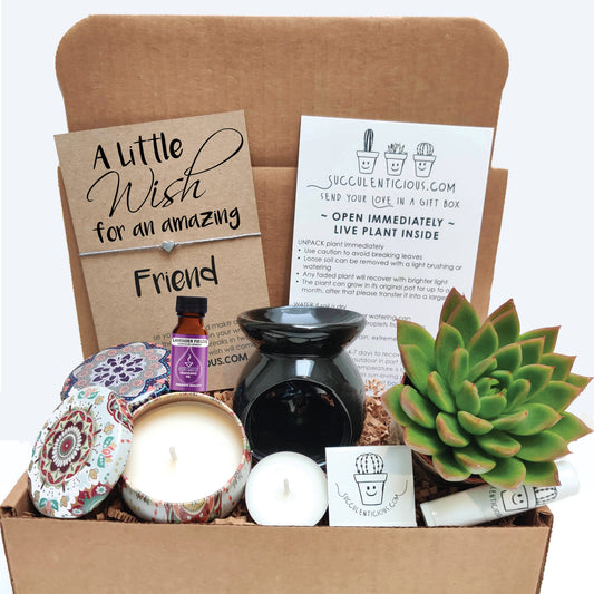Friend Care Package ‖ Friend Succulent Gift Box ‖ Essential Oil Diffuser Set ‖ Personalized Soy Candle Gift Box for Friend