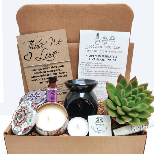 Sympathy Gift ‖ Sympathy Care Package ‖ Bereavement Gift ‖ Memorial Gift ‖ Condolence Gift Box ‖ Succulent Gift Box ‖ Sympathy Gift Basket