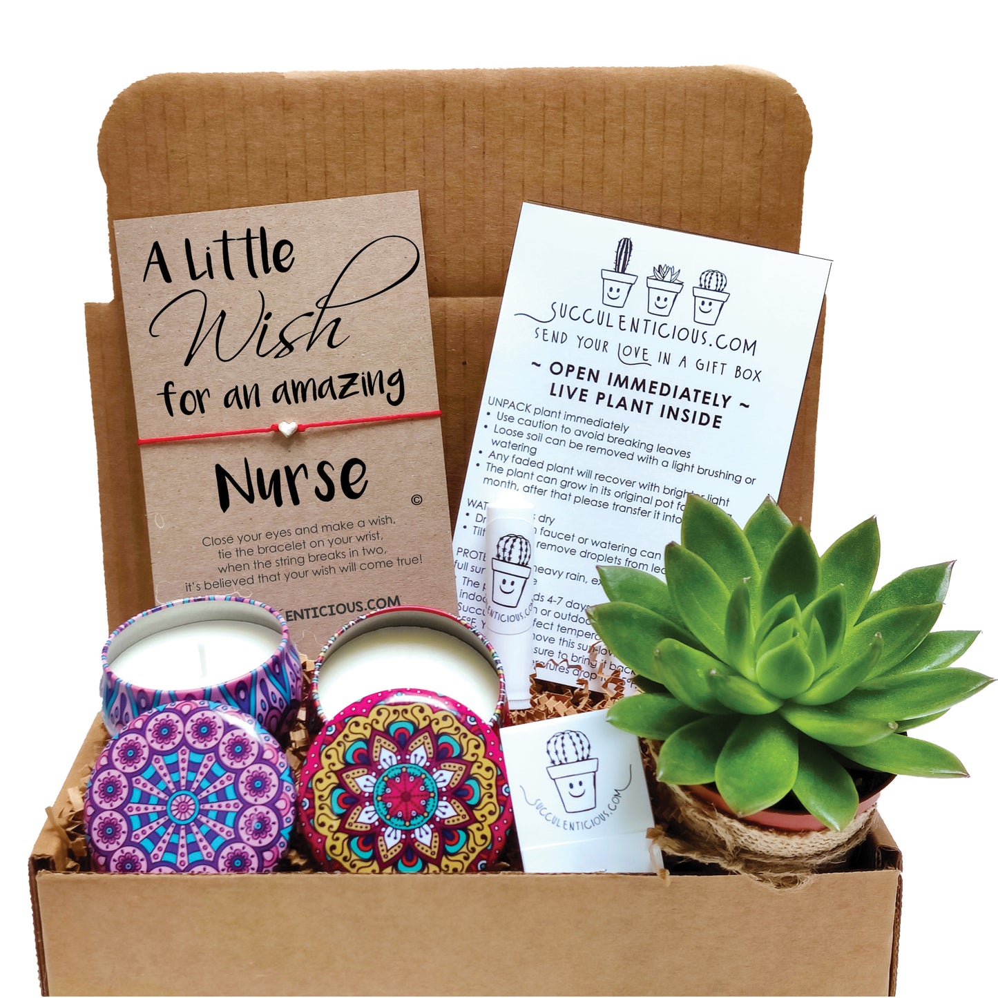 Nurse Gift Box ‖ Nurse Gifts ‖ Succulent Gift Box ‖ Essential Oil Diffuser Set ‖ Personalized Gift Box for Nurse