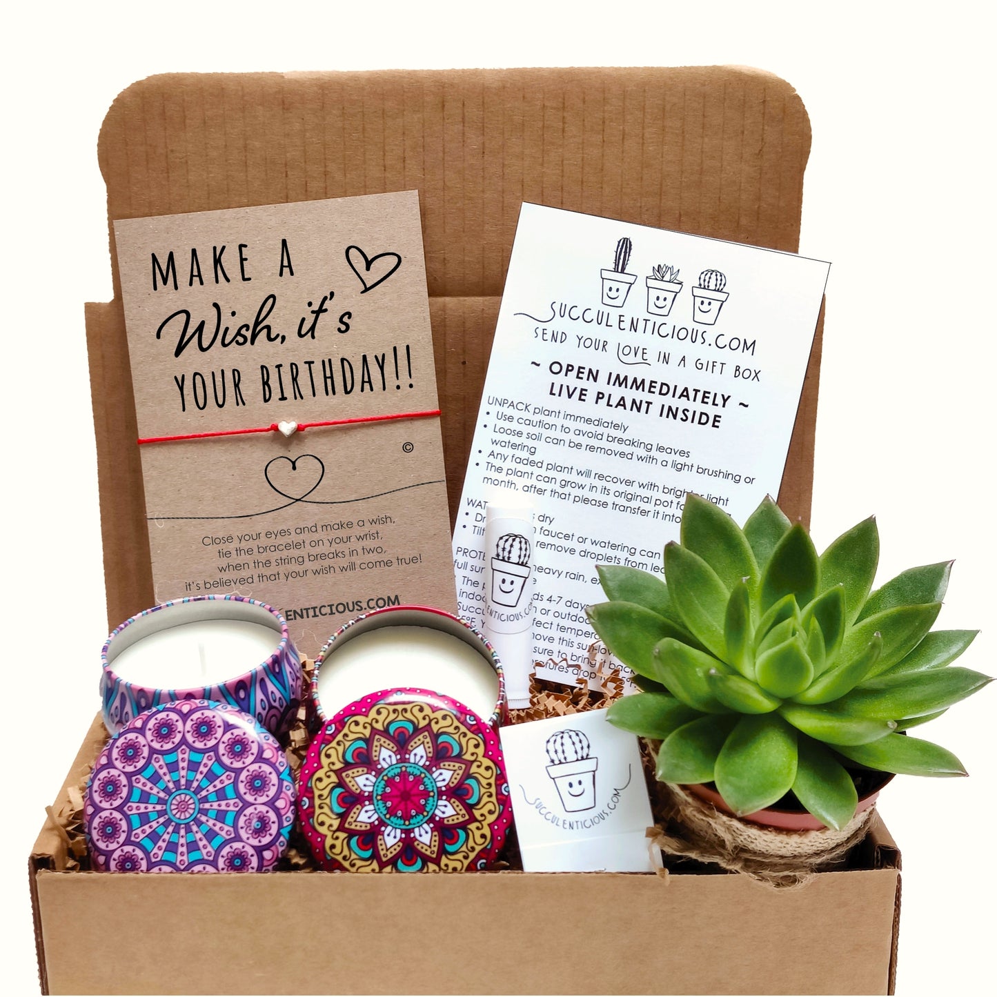 Birthday Gift Box ‖ Happy Birthday Succulent Gift Box ‖ Essential Oil Diffuser Set ‖ Birthday Soy Candle Gift Box