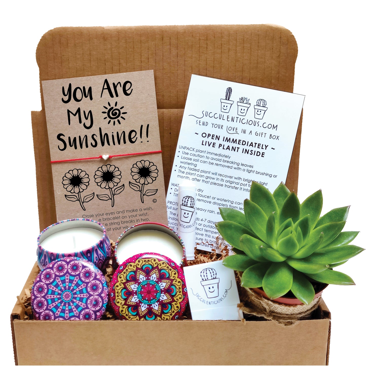You Are My Sunshine Gift Box ‖ Thinking of You Gift ‖ Succulent Gift Box ‖ Essential Oil Diffuser Set ‖ Soy Candle Gift Box ‖ Thank You Basket