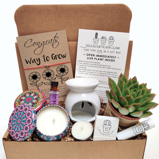 Congrats Way to Grow Gift Box ‖ Congratulations Gift ‖ Succulent Gift Box ‖ Essential Oil Diffuser Set ‖ Soy Candle Gift Box ‖ Congratulations Basket
