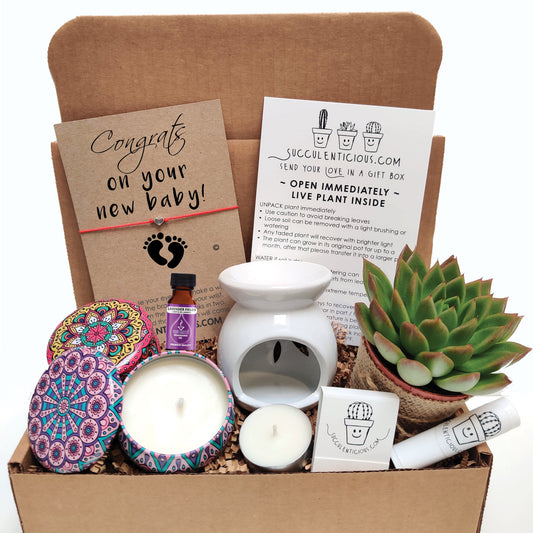 Congratulation On Your New Baby Gift Box ‖ New Baby Gift ‖ Succulent Gift Box New Baby Arrival Basket