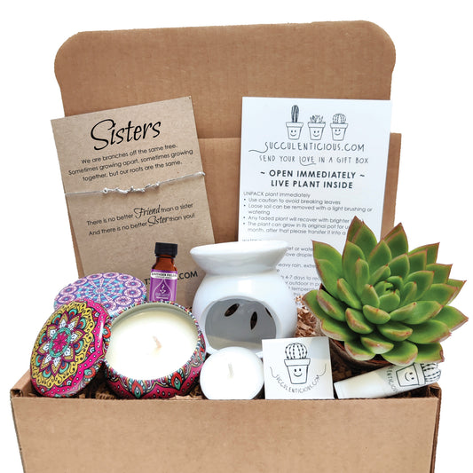 Sister Gift Box ‖ Sister Branch Succulent Gift Box ‖ Essential Oil Diffuser Set ‖ Soy Candle Gift Box for Sister