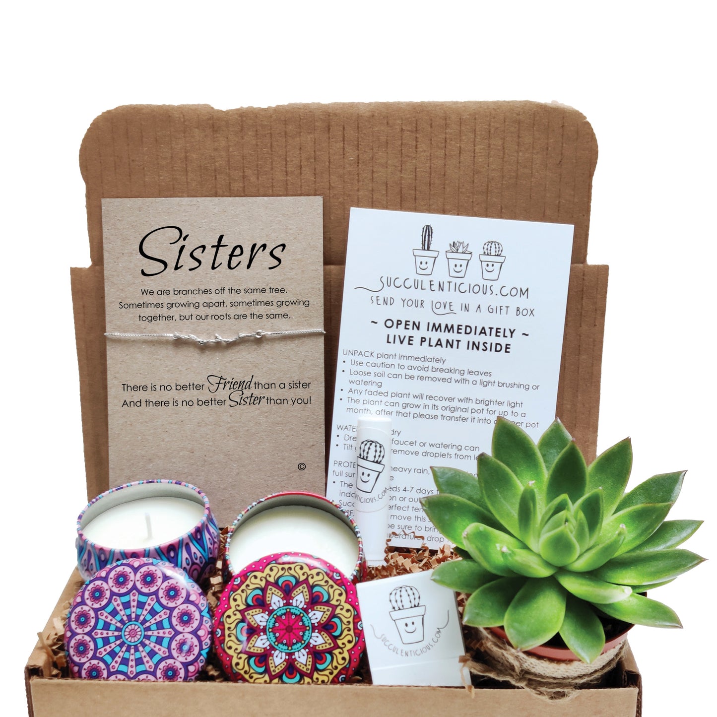 Sister Gift Box ‖ Sister Branch Succulent Gift Box ‖ Essential Oil Diffuser Set ‖ Soy Candle Gift Box for Sister