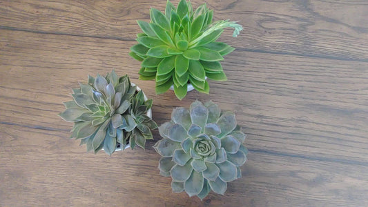 Happy 30th Birthday Gift Box ‖ Happy Birthday Succulent Gift Box ‖ Essential Oil Diffuser Set ‖ Birthday Soy Candle Gift Box