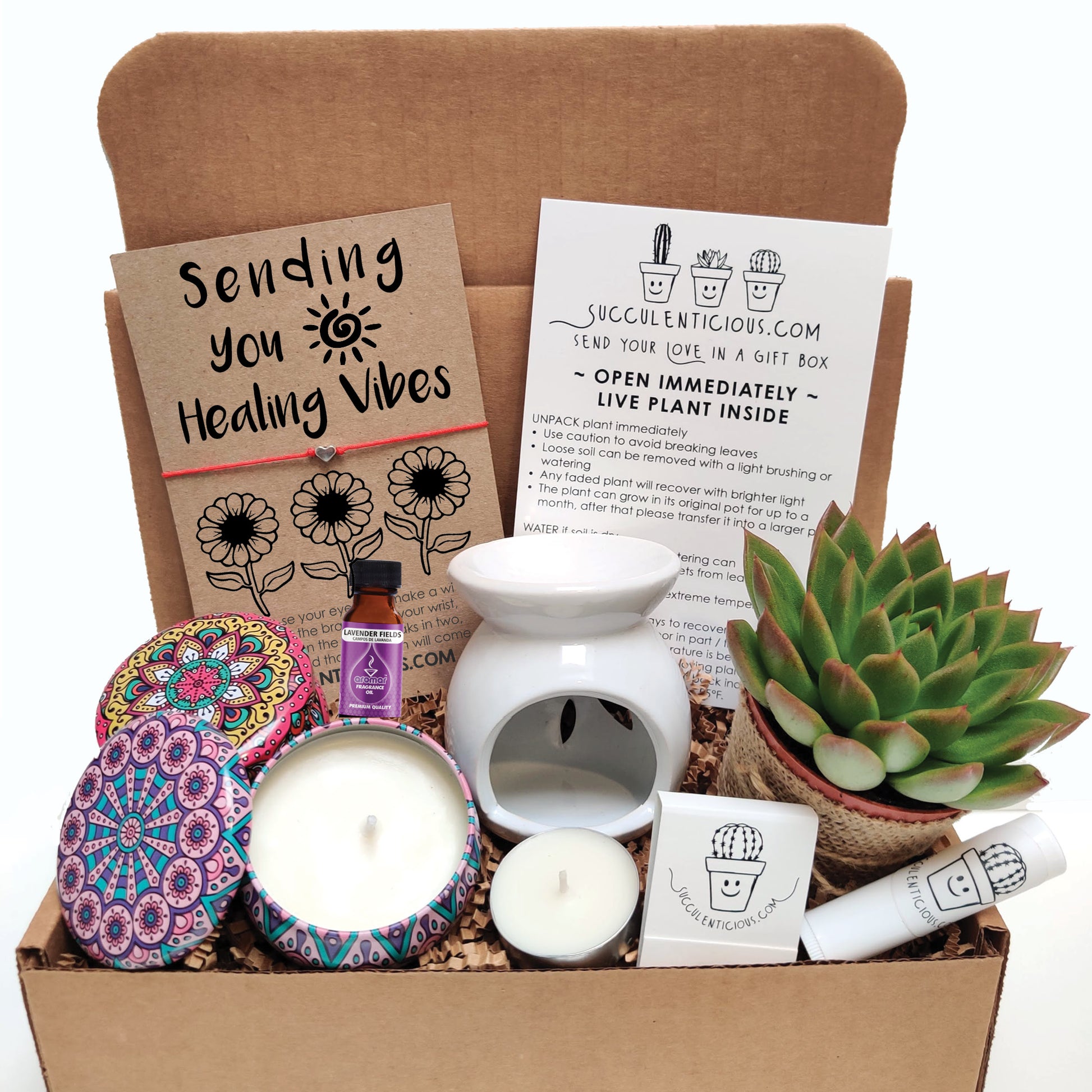 succulent get well gift Sending You Healing Vibes Gift Box ‖ Get Well Gift ‖ Succulent Gift Box ‖ Essential Oil Diffuser Set ‖ Soy Candle Gift Box ‖ Thinking of You Basket