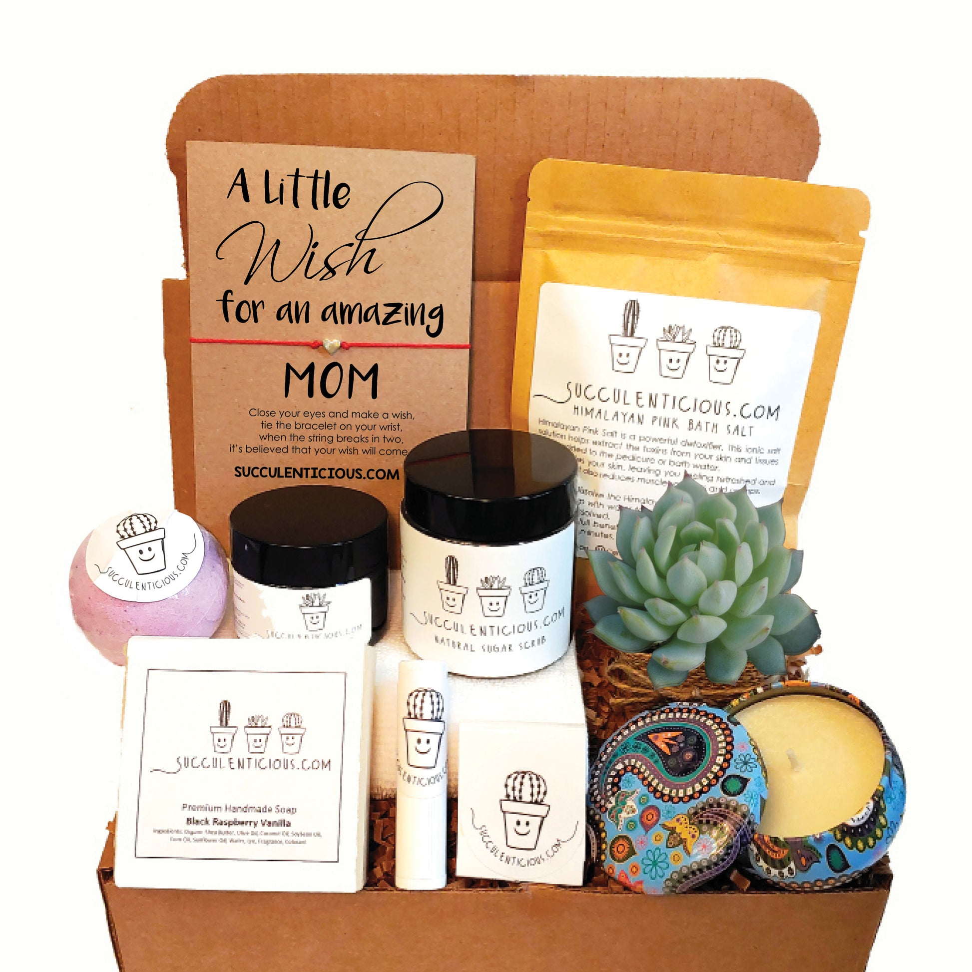 succulent care package Mom Gift ‖ Mom Care Package ‖ Spa Gift Box for Mom ‖ Succulent Gift Box ‖ Personalized Care Package for Mother